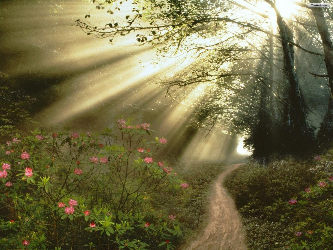path.png